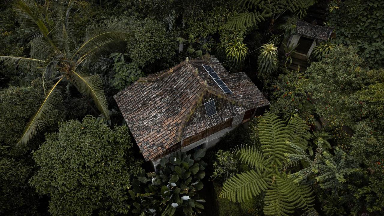 Kebun Kita Eco Lodge Padangan  Екстериор снимка