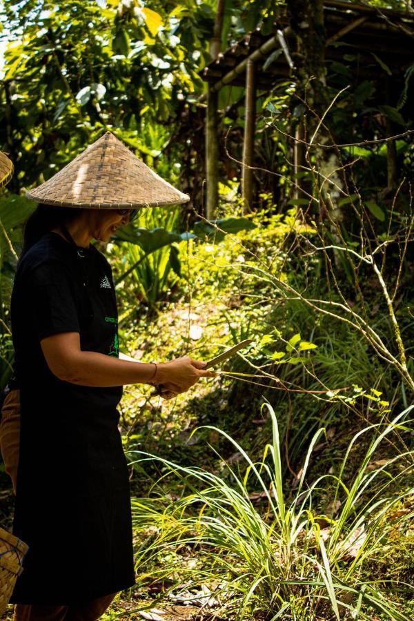 Kebun Kita Eco Lodge Padangan  Екстериор снимка