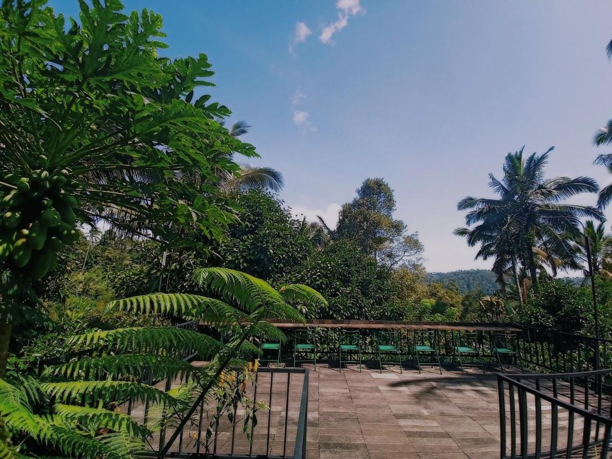 Kebun Kita Eco Lodge Padangan  Екстериор снимка