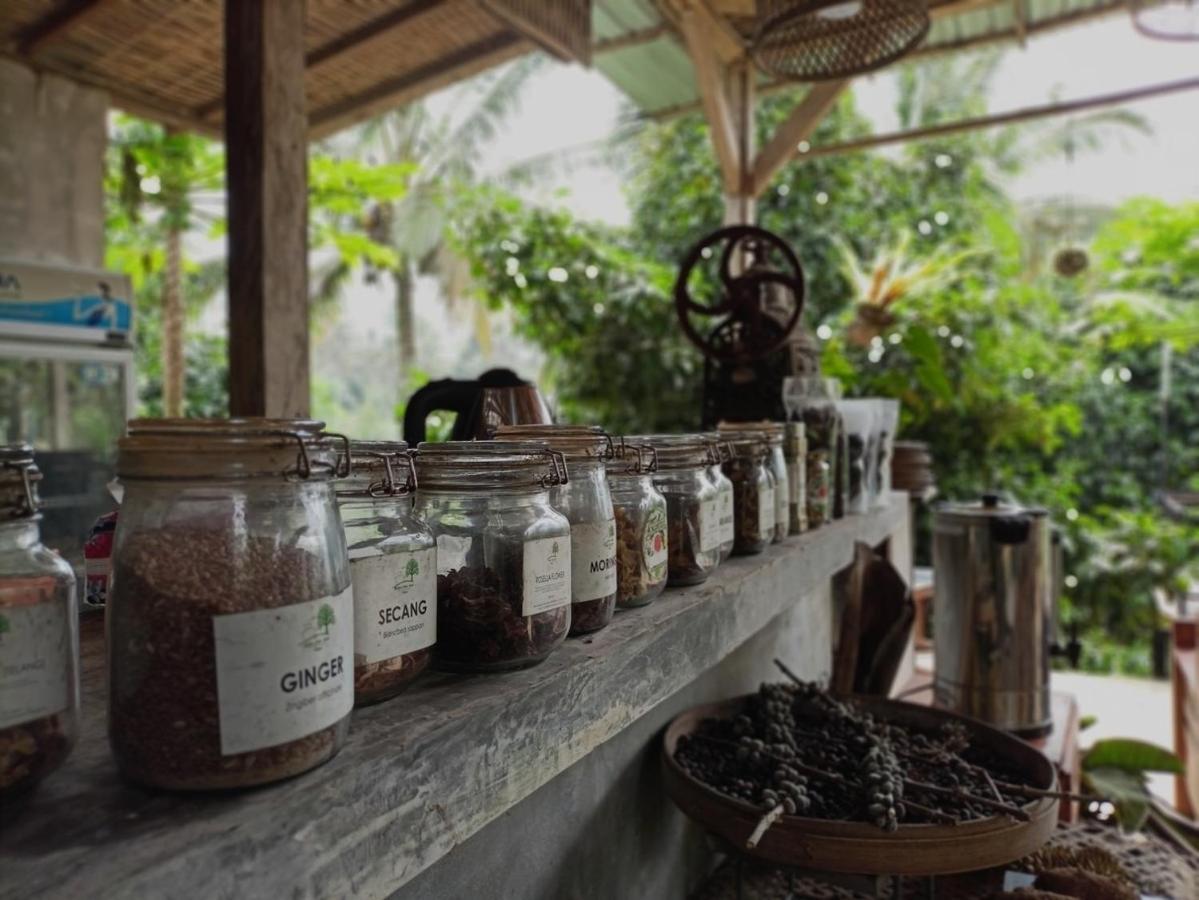 Kebun Kita Eco Lodge Padangan  Екстериор снимка