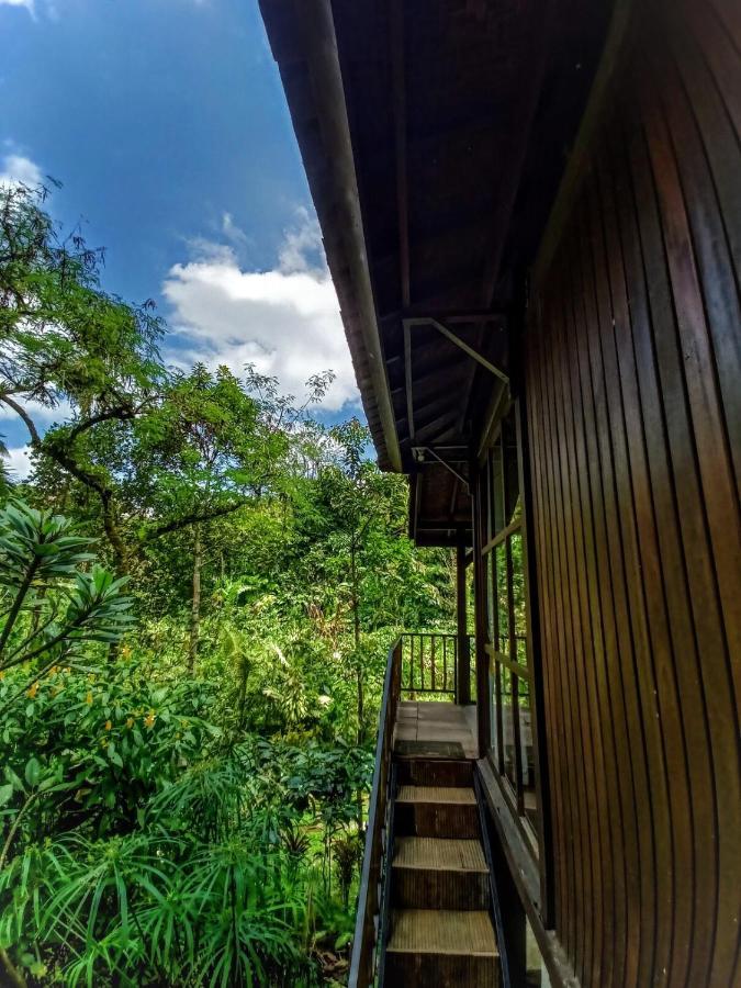 Kebun Kita Eco Lodge Padangan  Екстериор снимка