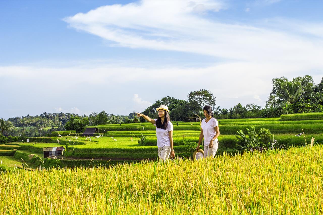 Kebun Kita Eco Lodge Padangan  Екстериор снимка
